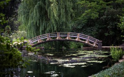 Comenzó a operar bus de acercamiento al Jardín Botánico