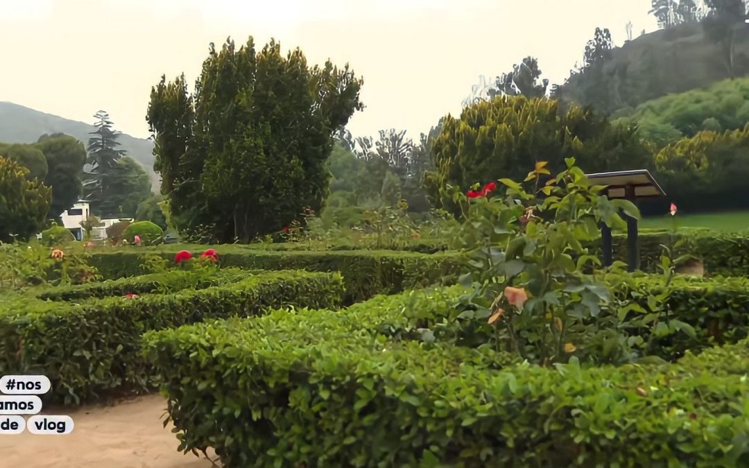 Reportaje de TVN destaca los atractivos del Jardín Botánico