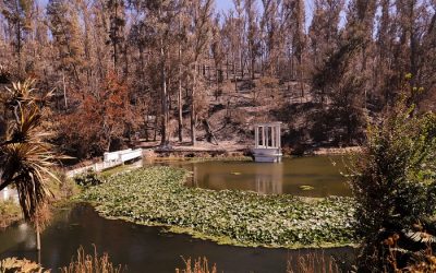 Ministerio de Agricultura compromete casi $500 millones para inicio de recuperación del Jardín Botánico