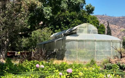 Jardín Botánico reabre parcialmente sus puertas