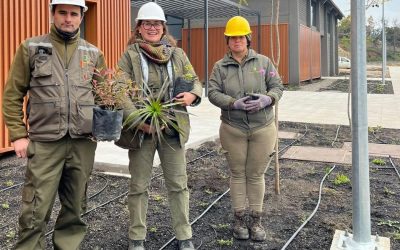 Parque tecnológico del Barrio El Salto desarrolla innovador proyecto de paisajismo